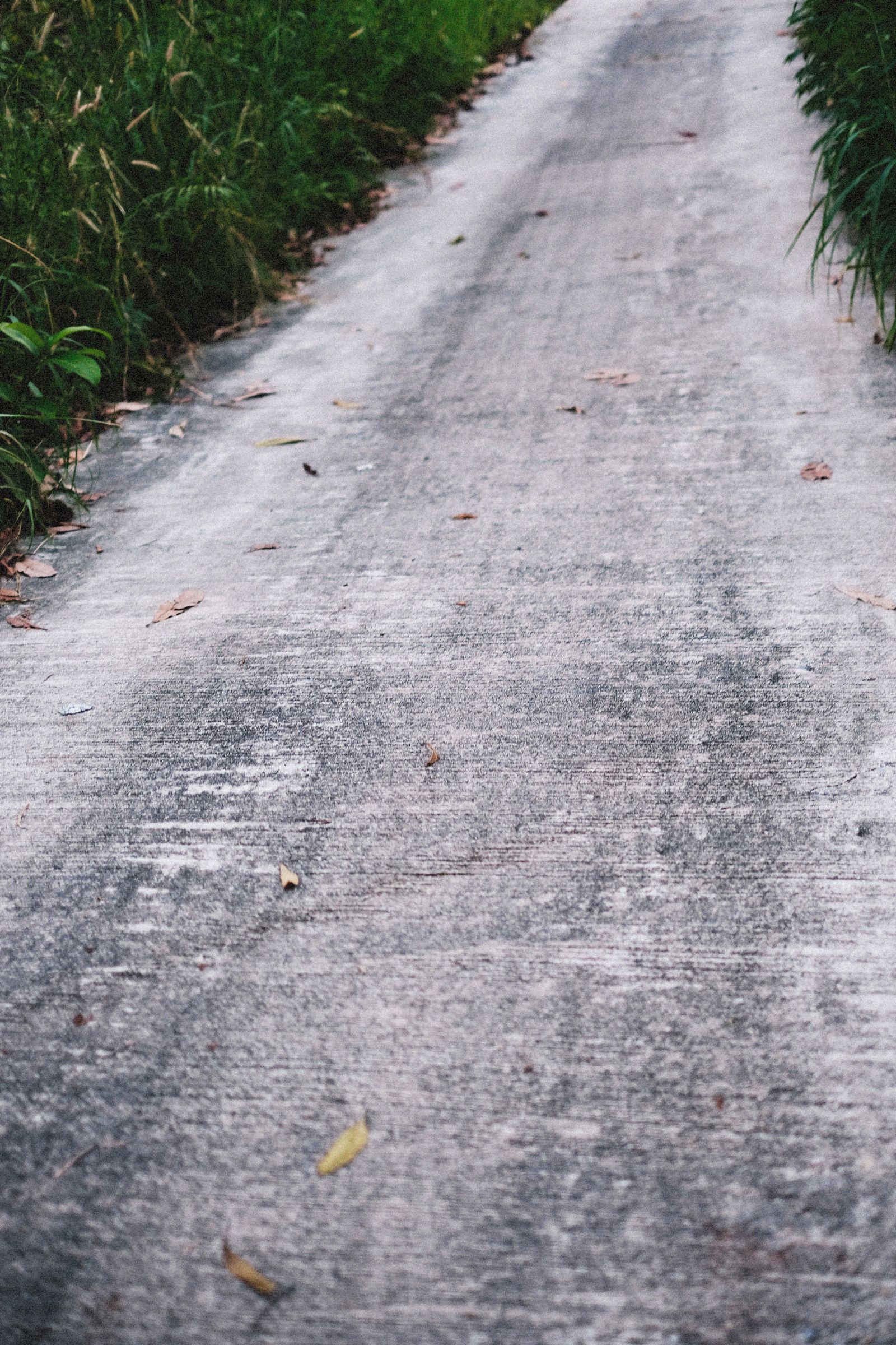 A brushed concrete footpath running between grass verges