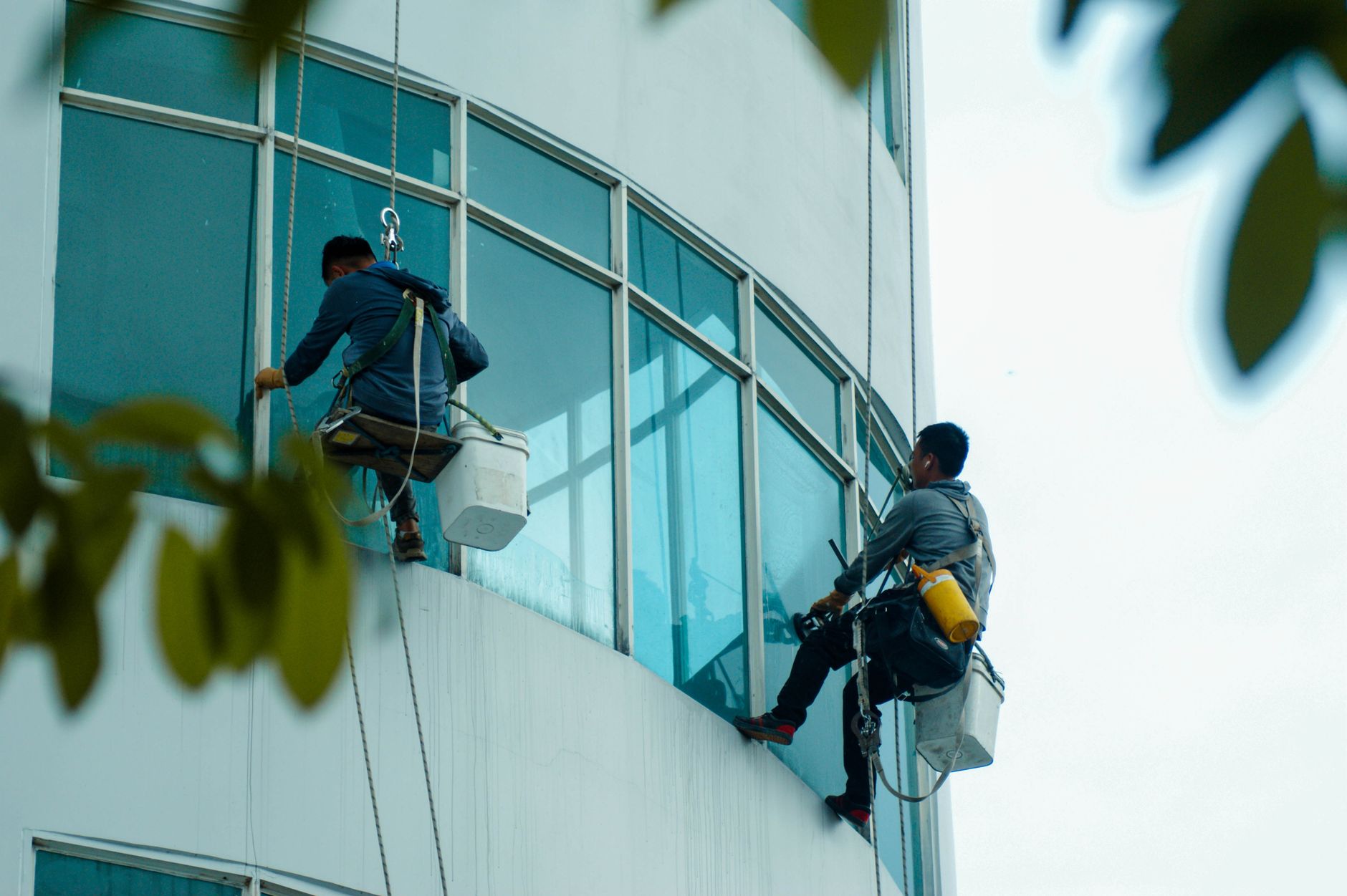 Abseiling window cleaning